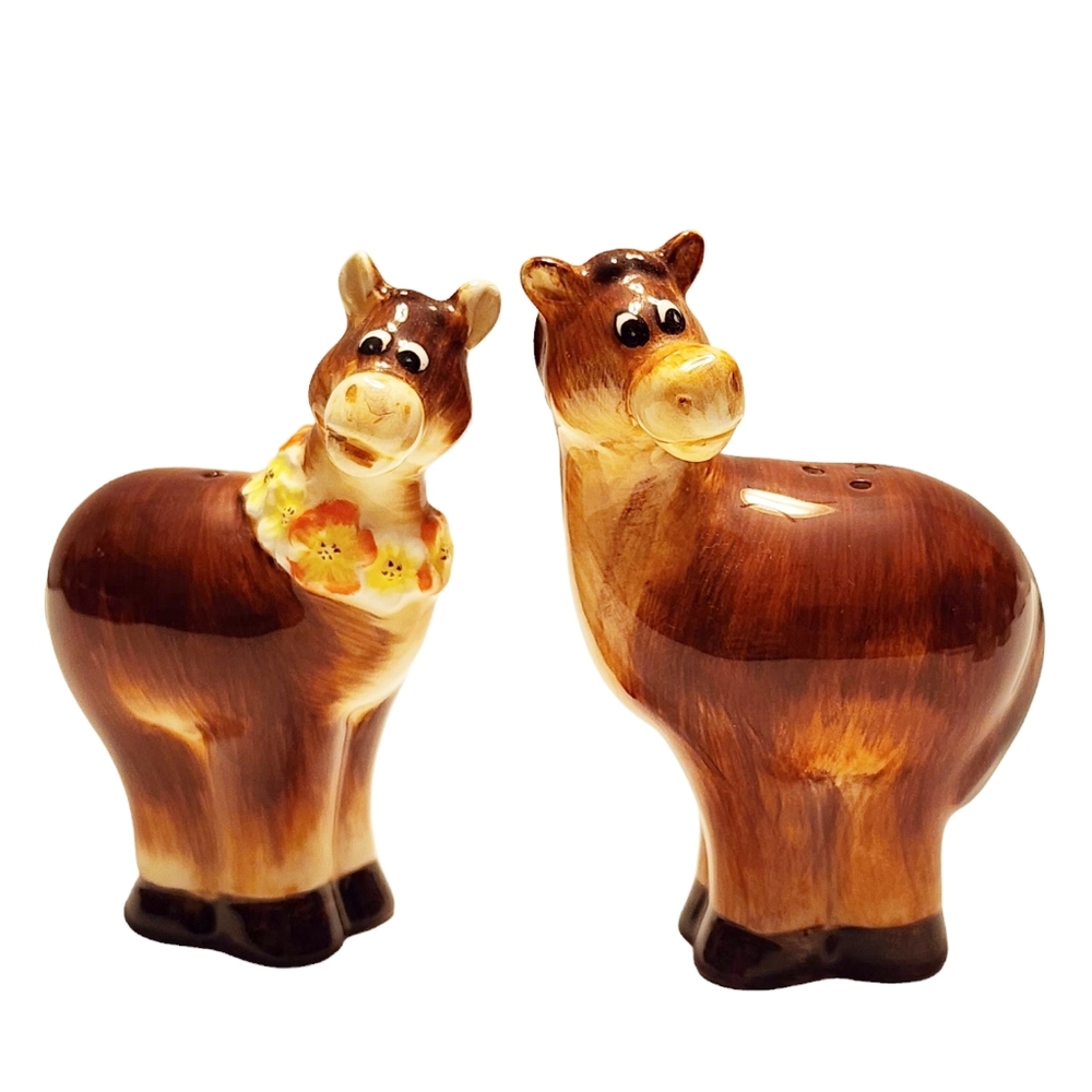 Goofy Horse Salt & Pepper Shakers